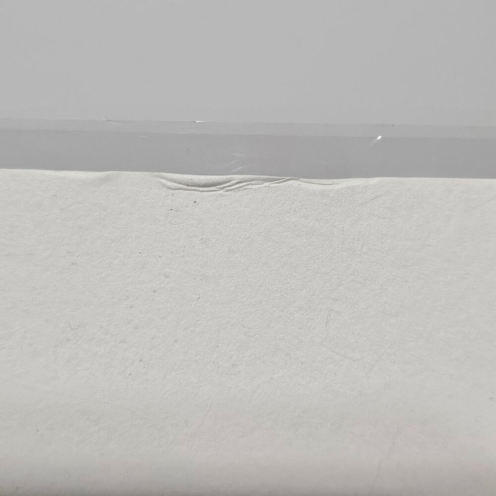 Disney Toy Story Buzz & Woody Lithograph 50/600 Numbered D23 Expo 2015 LE - Picture 4 of 5